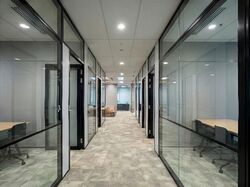 Mapletree Anson (D2), Office #520952251